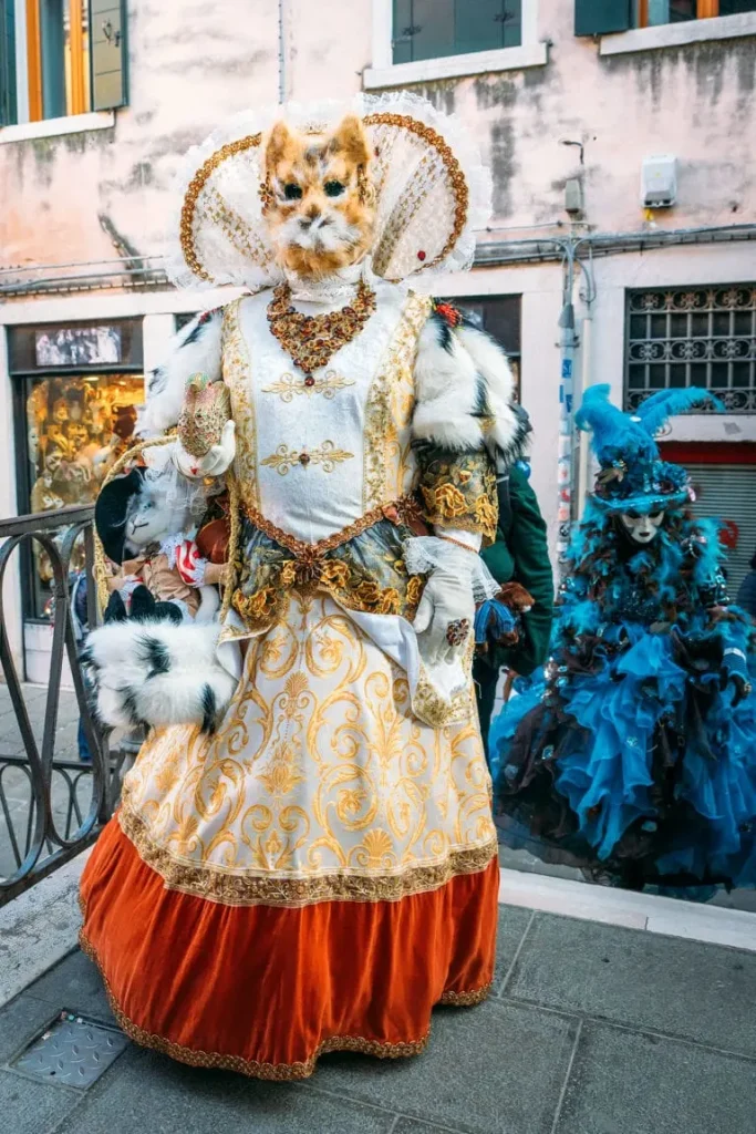 Gnaga maschera carnevale di venezia