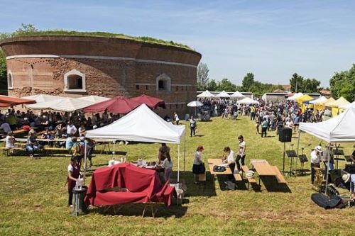 Isole Minori di Venezia: 12 mete alternative lontane dalla folla 17 Torre Massimiliana a Sant'Erasmo